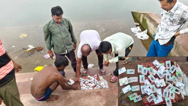 राजा तालाब में मिले सैकड़ों ओरिजनल वोटर आईडी कार्ड,बिजावर में मचा हड़कंप