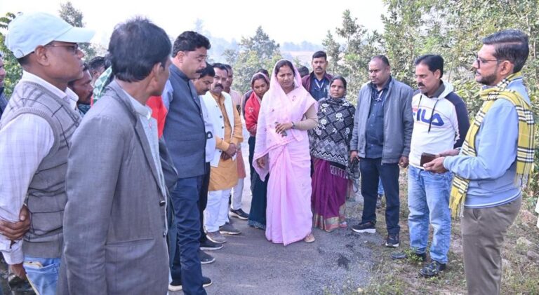 रायपुर: मंत्री लक्ष्मी राजवाड़े ने ओड़गी में सड़क और पुलिया निर्माण का औचक निरीक्षण किया