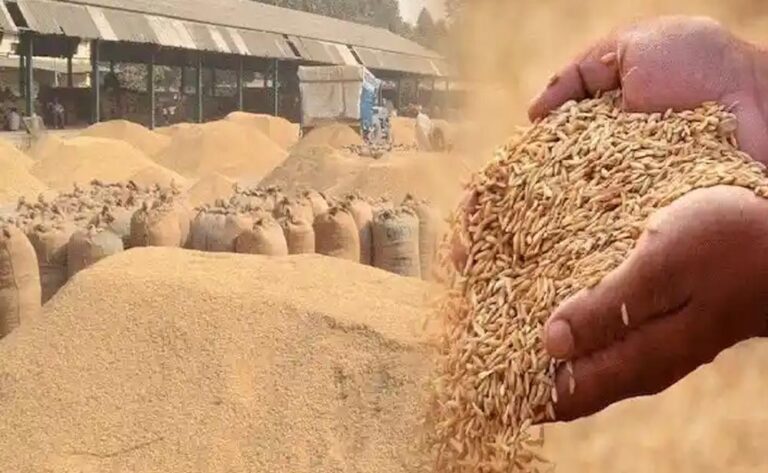 धान खरीद : धान किसानों को किया गया 1868.35 करोड़ रुपये का भुगतान