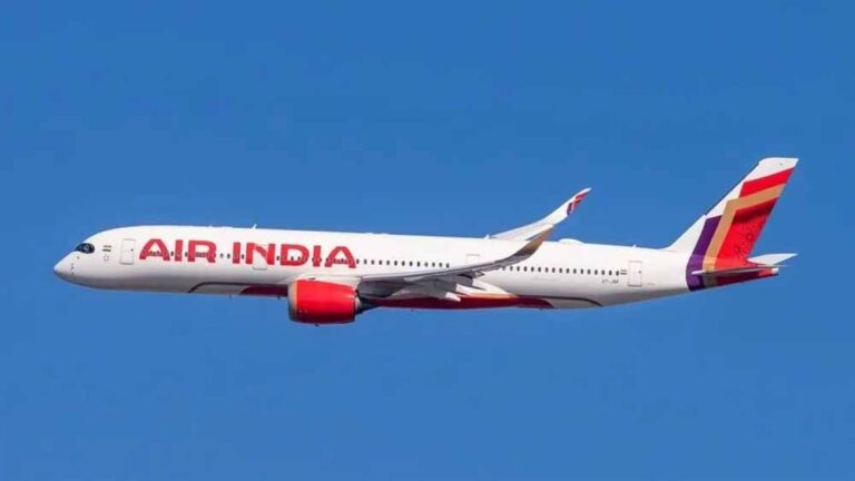 सिस्टम फेल होने से एयरपोर्ट पर अफरा-तफरी, Air India में मैनुअल चेक-इन शुरू