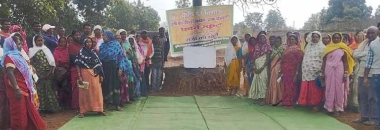 50 वर्षों बाद धमतरी के आदिवासी अंचल में रबी खेती की वापसी