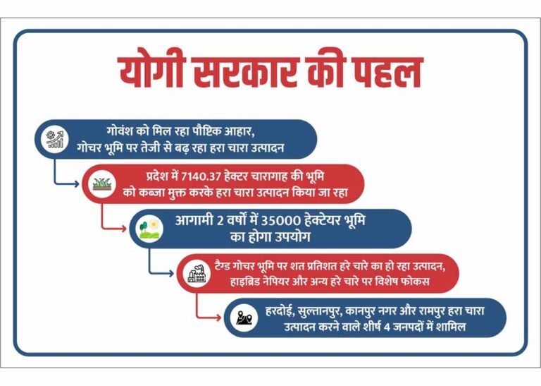 योगी सरकार की संवेदनशील पहल: गोवंश को मिल रहा पौष्टिक आहार, गोचर भूमि पर तेजी से बढ़ रहा हरा चारा उत्पादन