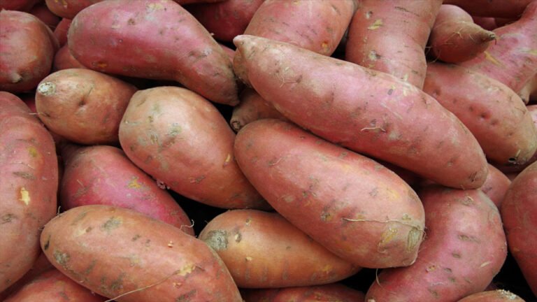 क्या आप शकरकंद को सिर्फ सब्जी समझते हैं? इसके 6 हैरान कर देने वाले फायदे जानकर चौंक जाएंगे