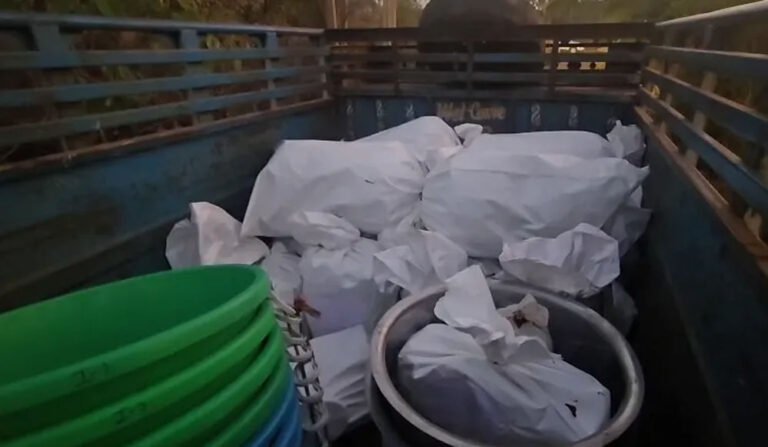 इंदौर कनेक्शन के साथ 10 करोड़ की MD ड्रग्स फैक्टरी का भंडाफोड़, हरियाणा तक होती थी सप्लाई