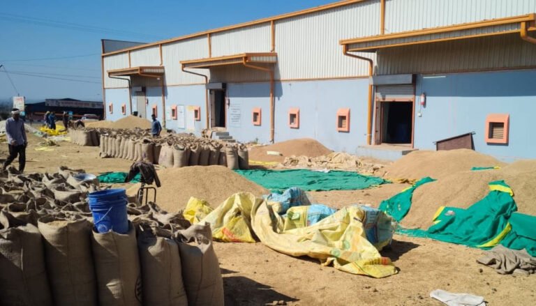 सिवनी ने धान खरीदी में पारदर्शिता में सफलता हासिल की, भोपाल टीम ने किया सत्यापित