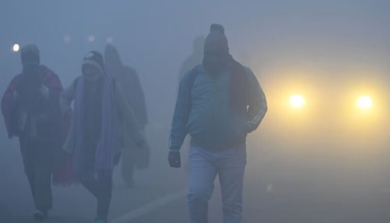 MP Weather: ठंड और कोहरे का कहर, संक्रांति के बाद वेस्टर्न डिस्टरबेंस से मावठा की संभावना