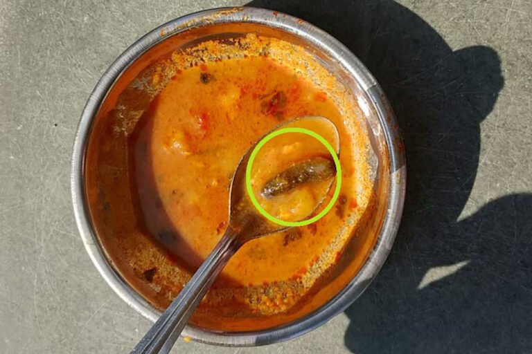 खंडवा: इल्लियों से भरे खाने पर विरोध, वार्डन ने दी धमकी- प्राइवेट बातें सार्वजनिक कर दूंगी