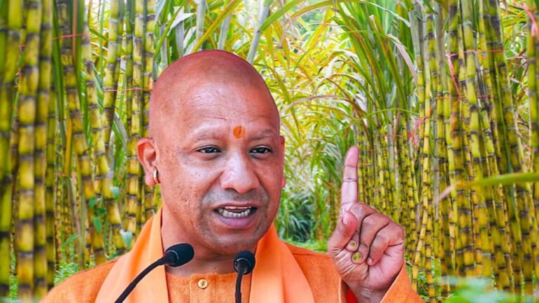 योगी मॉडल के कारण संकट से निकल समृद्धि तक पहुंची खेती-किसानी