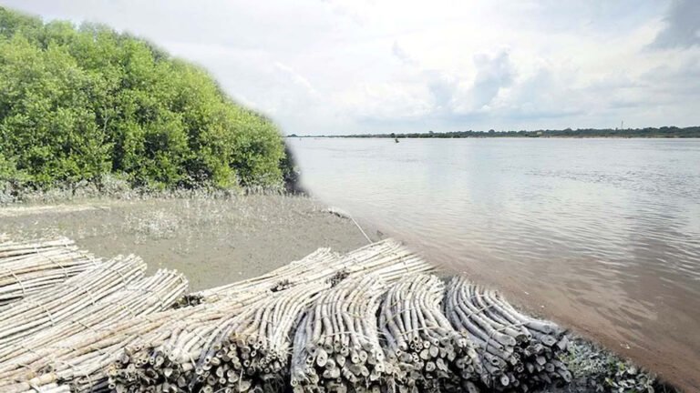 23 करोड़ लोग प्रभावित: गंगा, ब्रह्मपुत्र और गोदावरी क्षेत्र डूबने के कगार पर