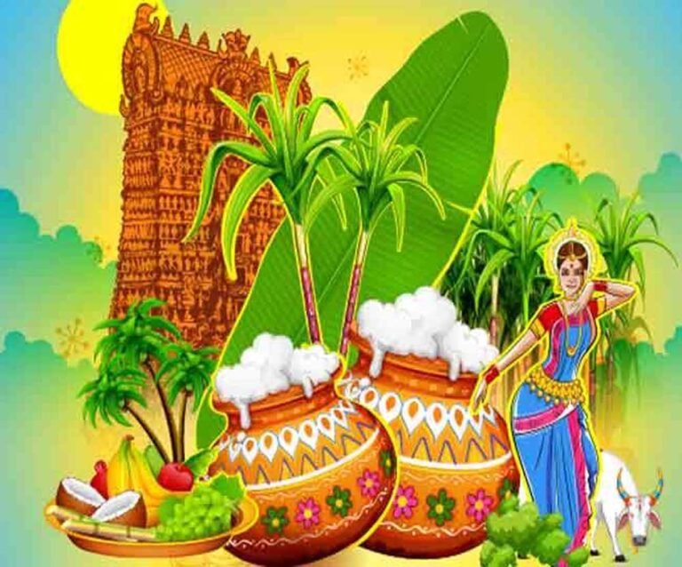 Pongal Date Confusion: 13 या 14 जनवरी, जानें सही तारीख एक क्लिक में