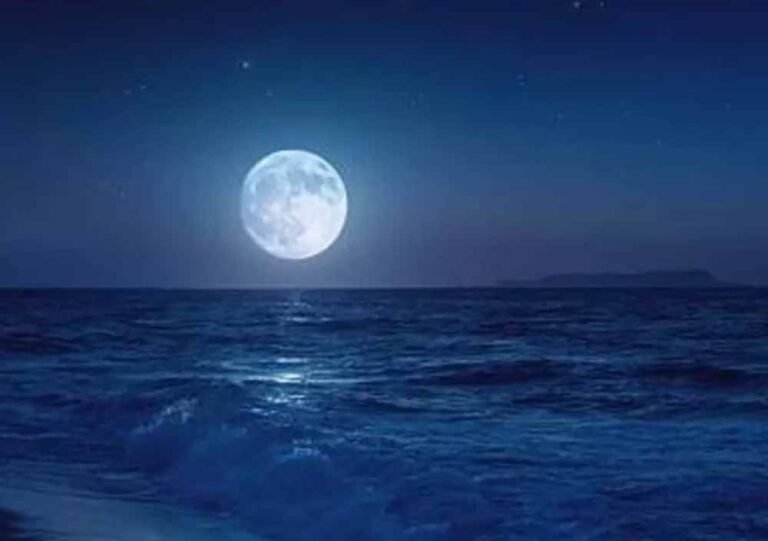 पौष पूर्णिमा दान विशेष: इन वस्तुओं के दान से बदल सकती है किस्मत