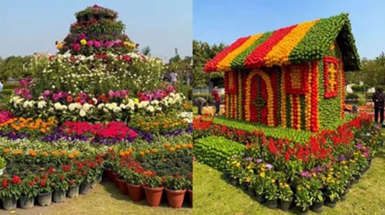राज्य स्तरीय पुष्प महोत्सव वाइब्रेंट की थीम पर, प्रदेश में उगाए गए फूलों का होगा प्रदर्शन