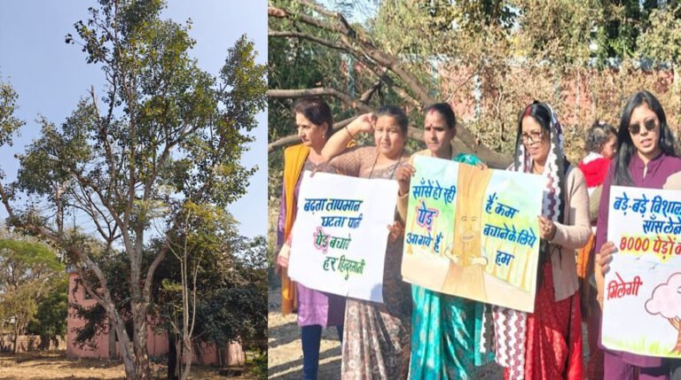 एमपी नगर में खाद्य भवन के निर्माण के लिए 150 पुराने पेड़ काटे जाएंगे, करेंगे ‘चिपको आंदोलन’