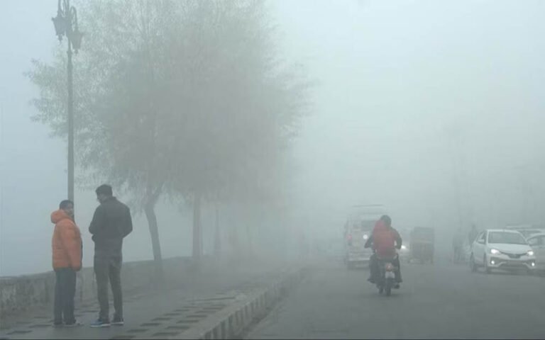 MP में नए साल के पहले दिन सर्दी ने दिखाई दांत, उत्तरी हिस्से में बादल और कोहरा, पचमढ़ी-कल्याणपुर में बर्फीली ठंड