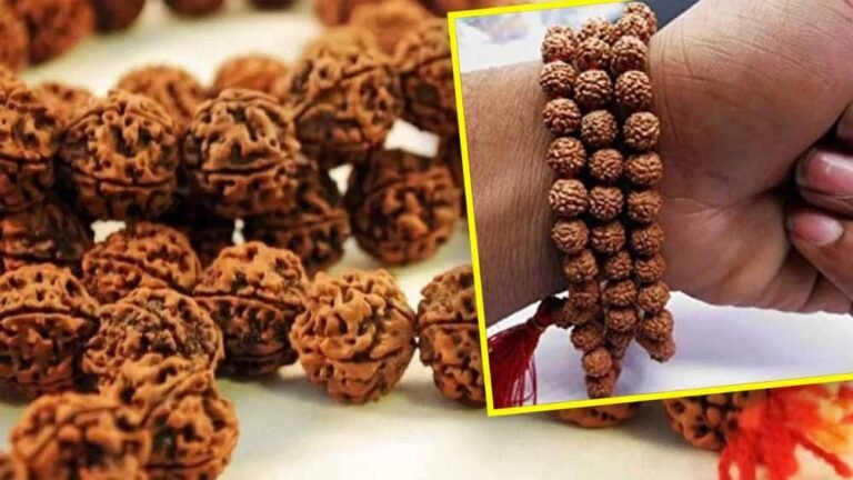 रुद्राक्ष पहनने की सोच रहे हैं? पहले पढ़ें ये नियम, वरना हो सकता है नुकसान