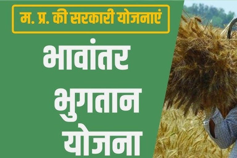 भावांतर योजना में सोयाबीन का मॉडल रेट 4458 रुपए जारी, किसानों को मिलेगा बड़ा फायदा