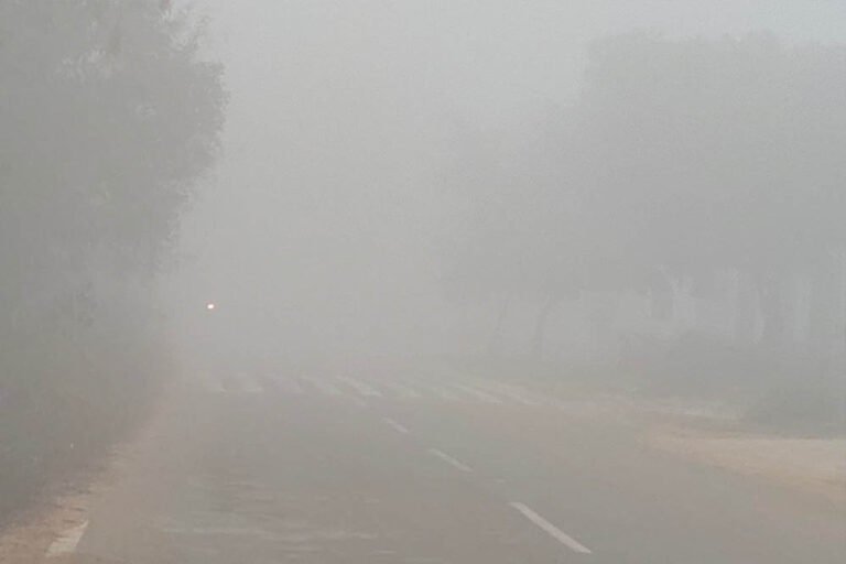 शीतलहर और घने कोहरे ने मचाई हलचल, पचमढ़ी में बर्फ, नौगांव में पारा 1 डिग्री, 19 जिलों में स्कूल बंद