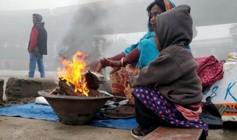 भीषण शीतलहर का कहर, उत्तर भारत में जारी ठंड और दिल्ली में शीत दिवस