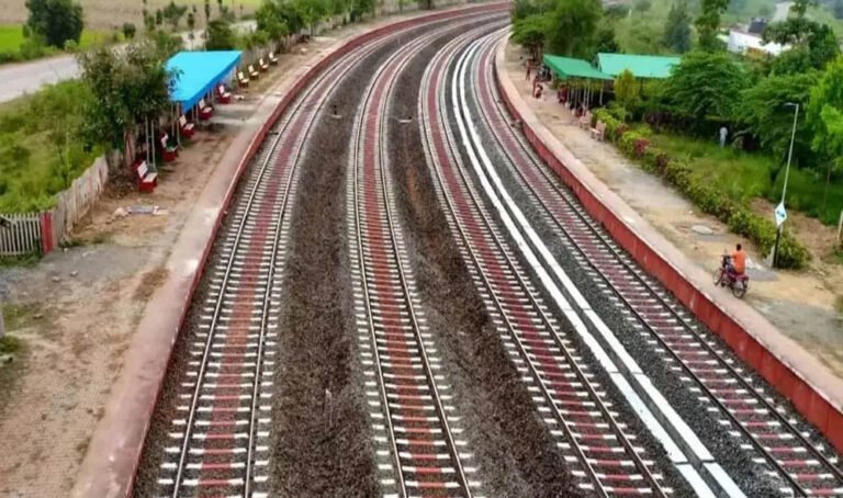 नई रेलवे परियोजना के लिए 277 पेड़ों की कटाई, MP प्रशासन ने तय की शर्तें