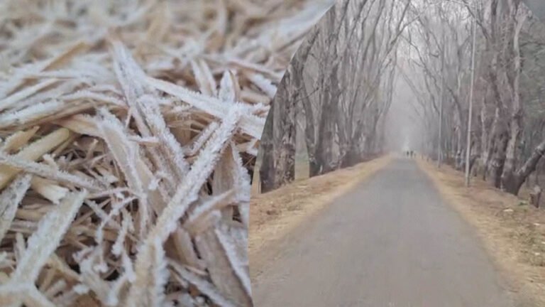 छत्तीसगढ़ में शीतलहर का अलर्ट: अंबिकापुर में 3.5°C पारा, अगले 2 दिन और गिरेगा तापमान