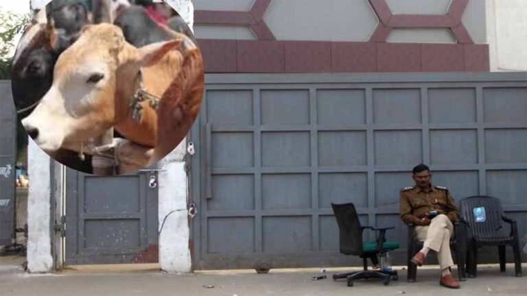 भोपाल गोकशी कांड में  ‘सफेद झूठ’ वाली क्लीन चिट देकर पुलिस अब खुद फंसी