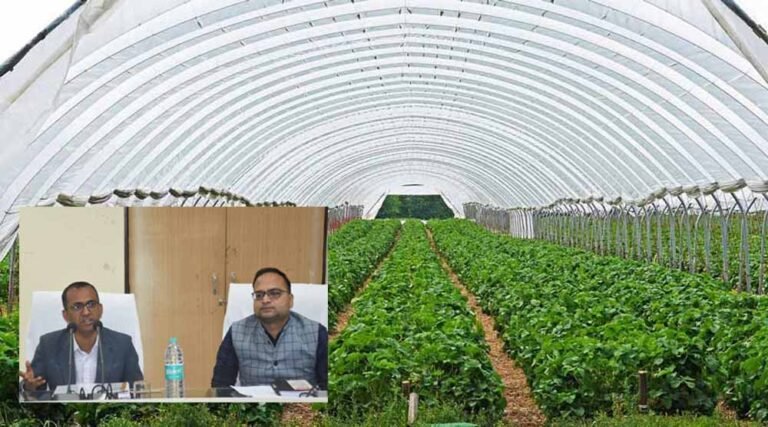 पीवीटीजी क्षेत्रों में उद्यानिकी योजनाओं के प्रभावी क्रियान्वयन पर विशेष फोकस करें: कलेक्टर वसंत