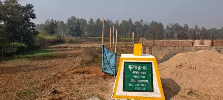 बलरामपुर में 3 एकड़ वन भूमि पर कब्जा