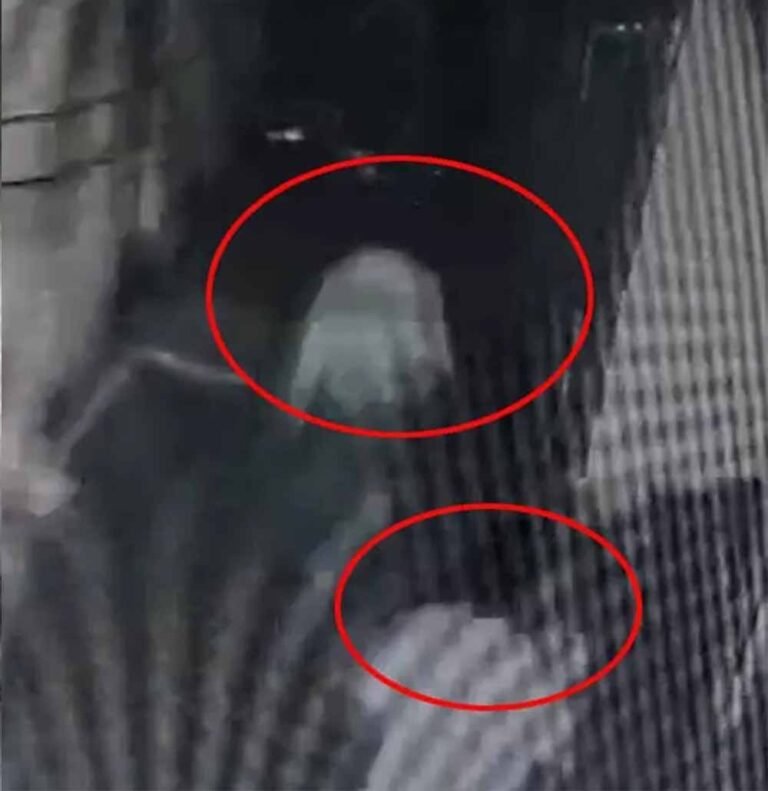 रायपुर के तेलीबांधा में गैंगवार में एक की हत्या