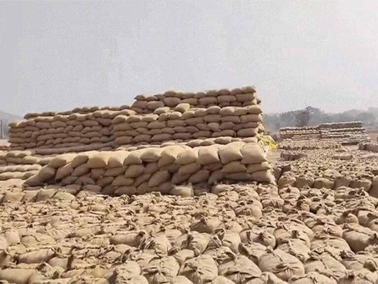 जशपुर के खरीदी केंद्र से 7 करोड़ की 20,586 क्विंटल धान गायब