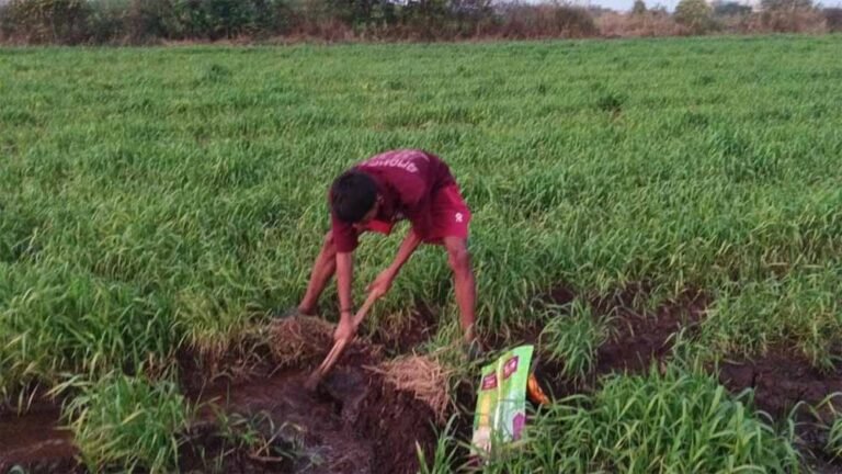 खंडवा जिले में तेजी से गिर रहा जलस्तर