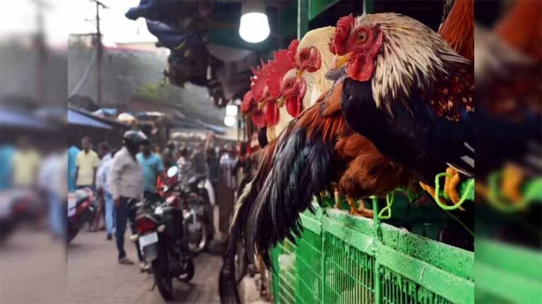 ओडिशा के कोरापुट में विवाद के बाद फैसला पलटा, 26 जनवरी पर मांसाहार बिक्री पर अब नहीं रहेगी पाबंदी