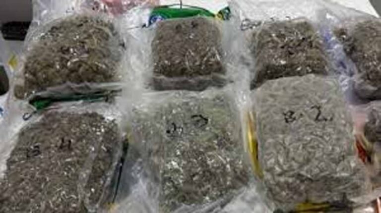 एयरपोर्ट बना तस्करी का अड्डा! अहमदाबाद में 12.50 करोड़ की ड्रग्स पकड़ी, चार लोग दबोचे गए