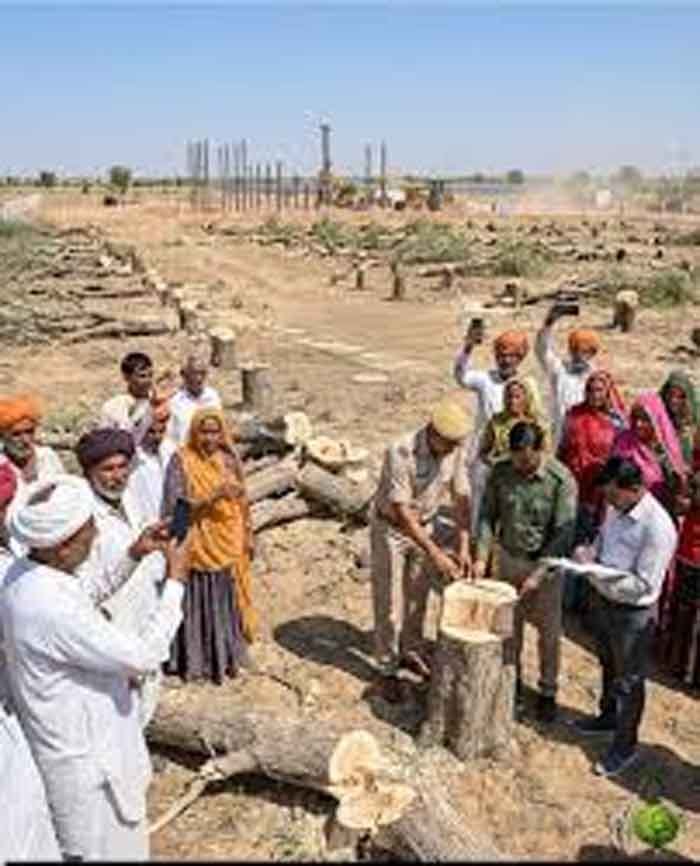 खेजड़ी संरक्षण की लड़ाई तेज हुई, बीकानेर में 2 फरवरी को होगा महापड़ाव