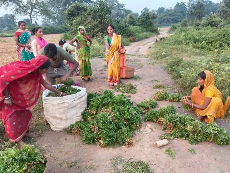 यूपी-बिहार मिलकर करेंगे महिला किसानों की क्षमता वृद्धि, रोजगार के खुलेंगे नए द्वार
