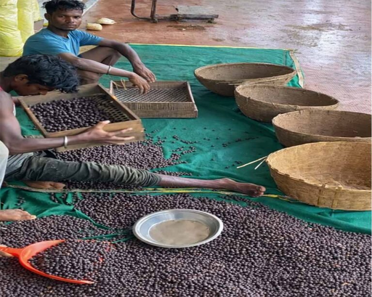 योजना का तेजी के साथ हो रहा है क्रियान्वयन