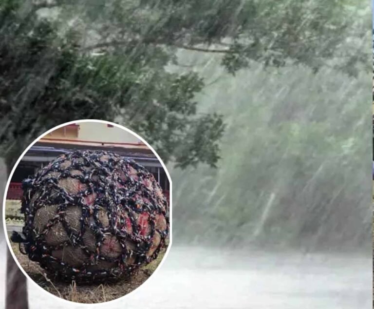 टोंक में कल 70 KG का दड़ा करेगा झमाझम बारिश की भविष्यवाणी