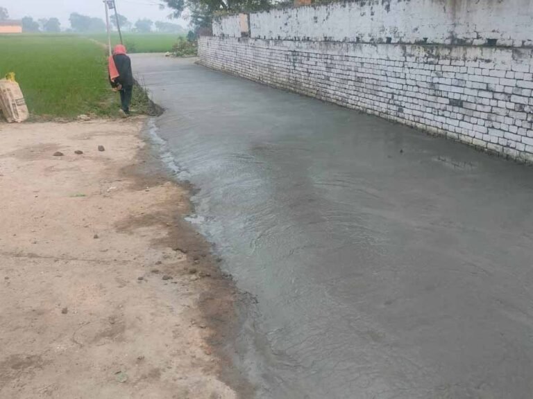 शेष सड़कों के निर्माण के लिए संबंधित एजेंसियों को दिए गए निर्देश