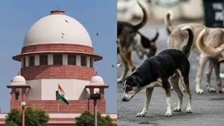 आवारा कुत्तों पर सुप्रीम कोर्ट की सफाई: हटाने का निर्देश देने की खबरें गलत