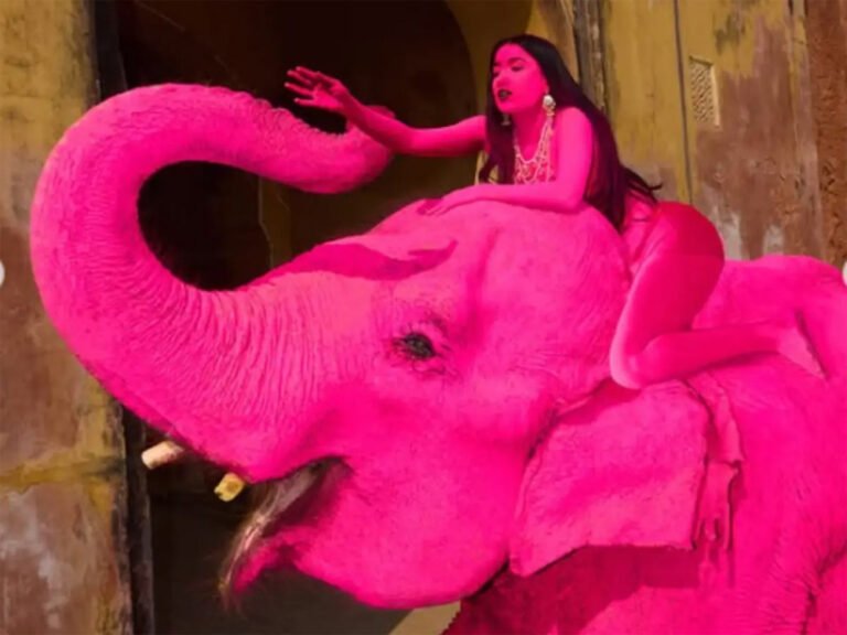हवामहल के सामने गुलाबी हाथी के फोटोशूट पर भड़के लोग पशु क्रूरता के आरोप में जांच शुरू