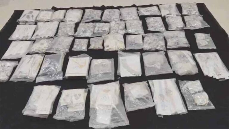 बड़ी कार्रवाई: कार से 21 किलो चांदी बरामद, वैध दस्तावेज न होने पर जब्ती