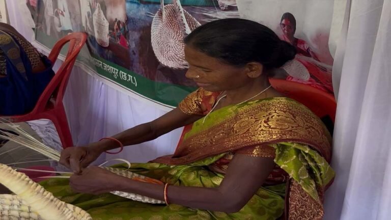 सफलता की मिसाल: पारंपरिक हस्तशिल्प ने बदल दी लोगों की आजीविका