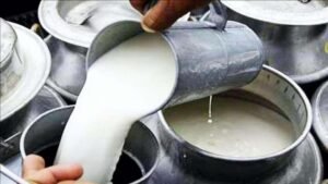 पी के डेयरी उत्पादों का निर्यात 10% बढ़ा, अभूतपूर्व वृद्धि दर्ज