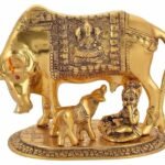 वास्तु चेतावनी: भूलकर भी इस दिशा में न रखें कामधेनु गाय, वरना घर में आ सकती हैं परेशानियाँ