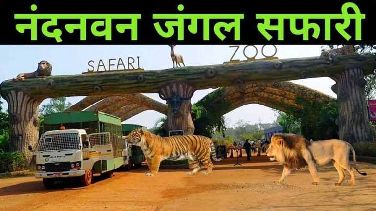 होली की छुट्टियों में सफारी से पहले पढ़ लें यह खबर, 3 मार्च से जंगल में प्रवेश पर रोक