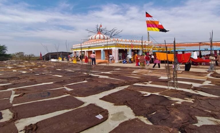 मां बिरासिनी धाम बिलासपुर में चैत्र नवरात्रि के नवमी के दिन श्रद्धा का उमड़ा सैलाब