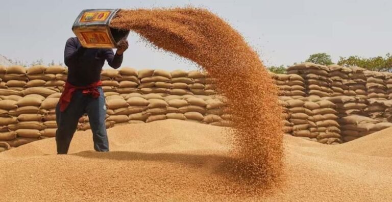 10 अप्रैल से मालवांचल, नर्मदापुरम और भोपाल में गेहूं उपार्जन, बाकी संभागों में 15 मार्च से खरीदी शुरू