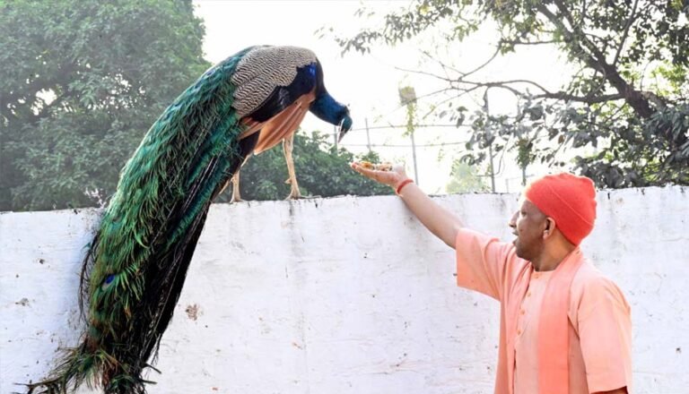नामों से पुकार कर, स्नेहिल थपकी देकर गायों-गोवंश को खूब दुलारा मुख्यमंत्री ने