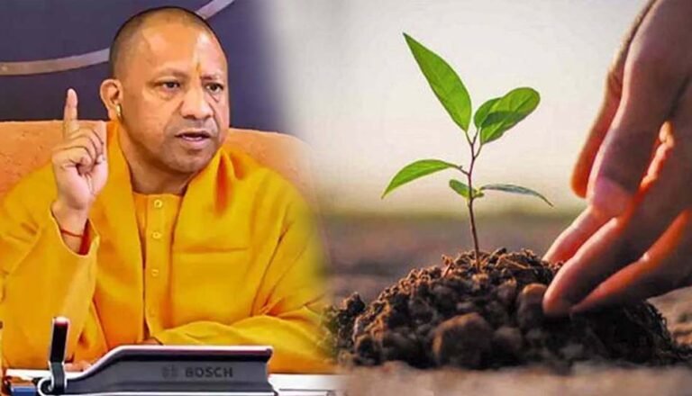 इस वर्ष भी प्रदेश में लगेंगे 35 करोड़ पौधे, पिछले वर्ष हुआ था 37.21 करोड़ पौधरोपण
