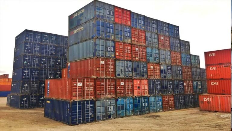 दुबई में सड़ रहे 1000 कंटेनर, केले, अंगूर, अनार और सब्जियों का भारी नुकसान भारत को