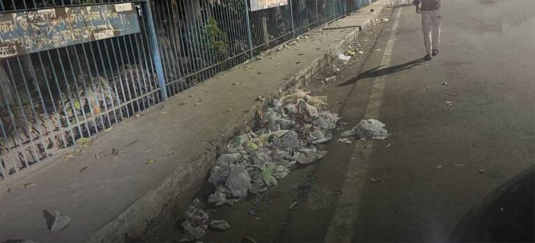 रातभर सफाई के दावे, लेकिन भोपाल के इन बाजारों में फिर भी पसरी गंदगी